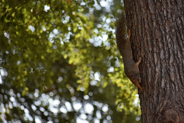 进步明显！弗拉格三连胜期间场均27+7，投篮命中率59%